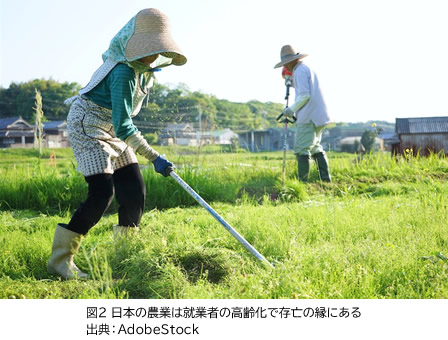 図2 日本の農業は就業者の高齢化で存亡の縁にある。 出典：AdobeStock