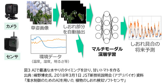 図3 AIで最適な水やりのタイミングを計り、甘いトマトを作る。出典：峰野博史氏、2018年3月1日JST新技術説明会（アグリバイオ）資料「潅水制御のためのAIを用いた植物のしおれ検知ソフトセンサ」